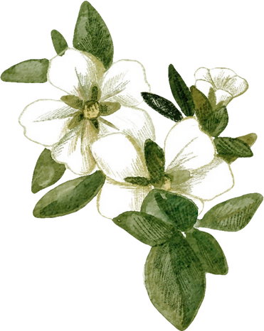 Small Tiny White Flowers with Leaves